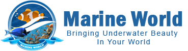 Marine World