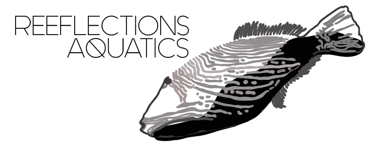 Reeflections Aquatics