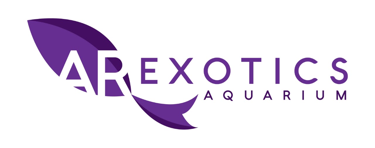 A R Exotics Marine Aquarium Pet Shop