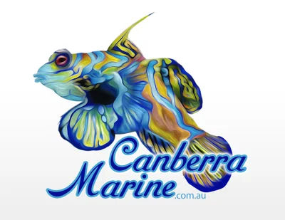 Canberra Marine