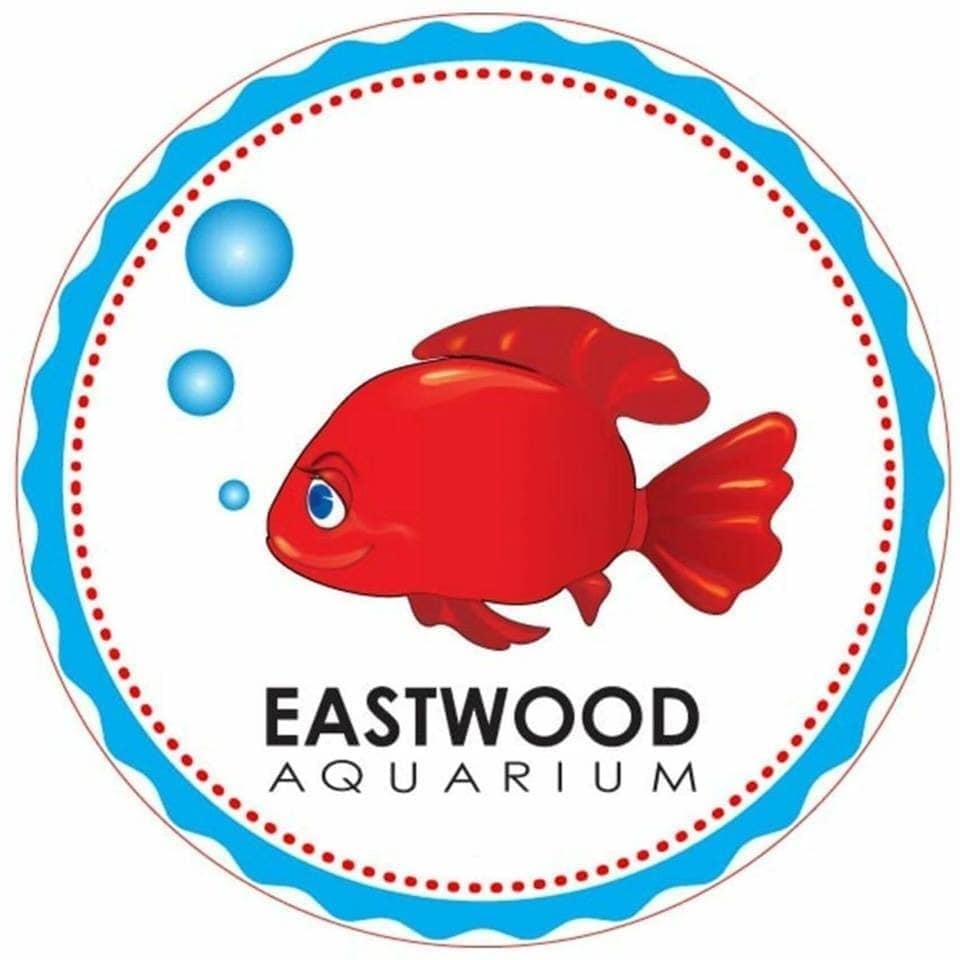 Eastwood Aquarium