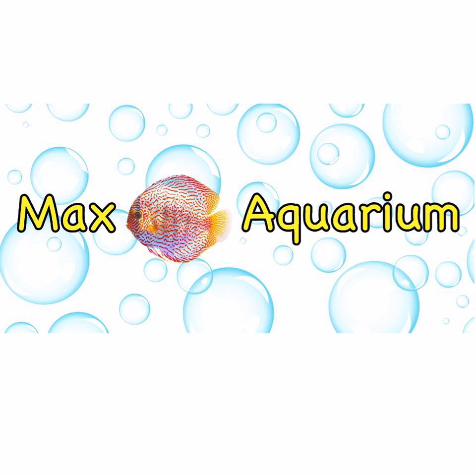 Max Aquarium